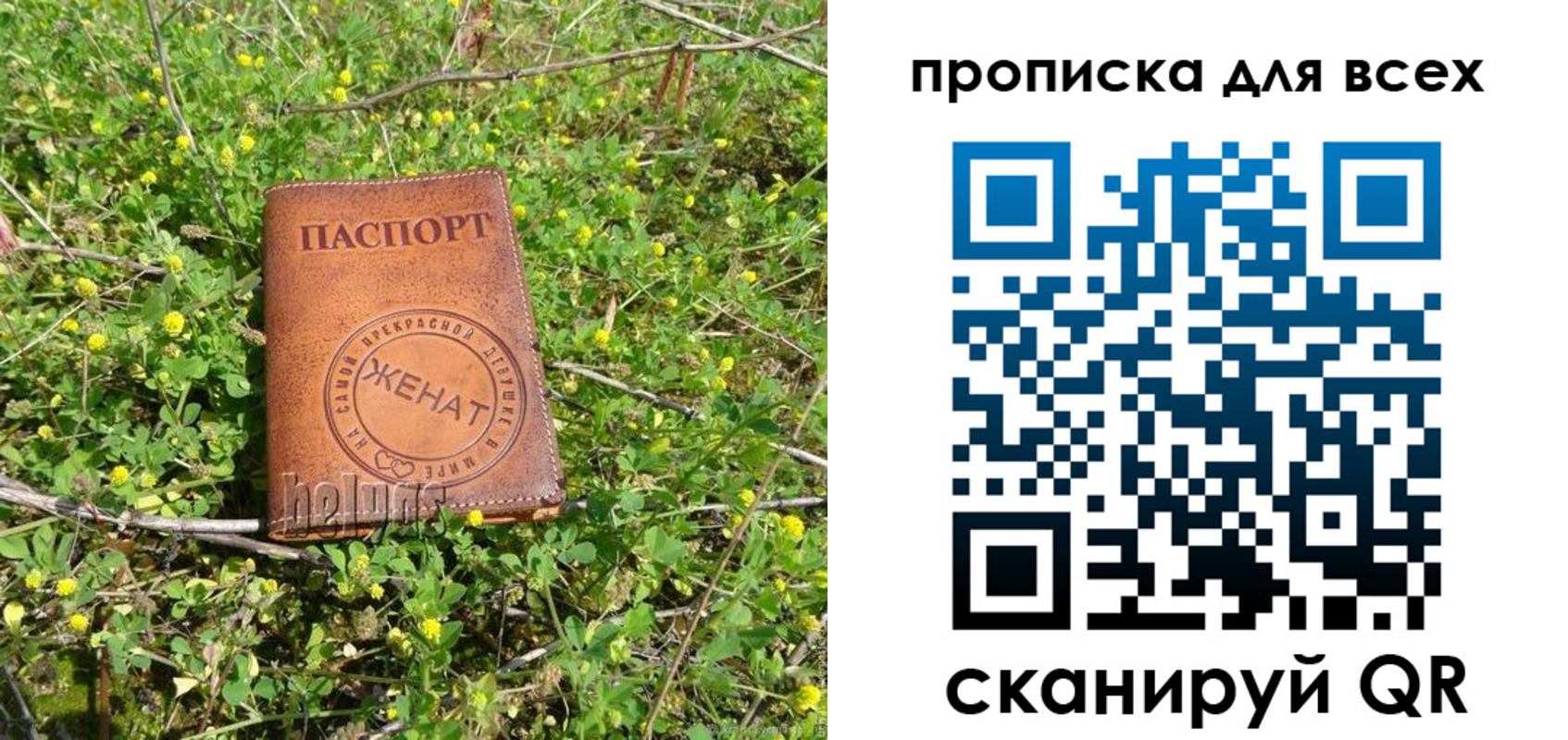 прописка поиск в Межгорье